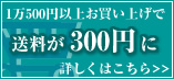 ������300�ߤ�